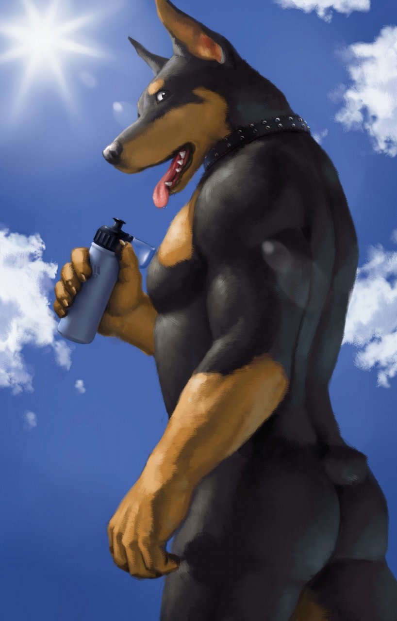 Gay Furry Doberman | Gay Fetish XXX