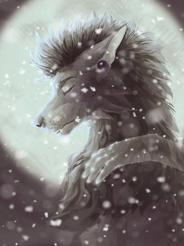 Fenrix Darkwolf's Fursona Avatar Fenrix Darkwolf's Fursona Avatar