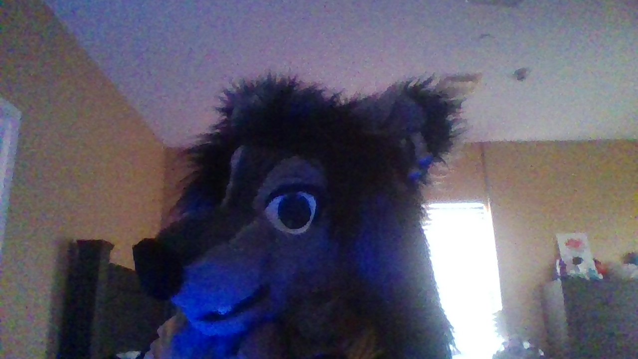 vixx's Fursona Avatar vixx's Fursona Avatar